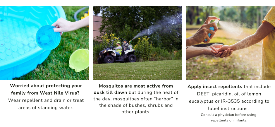 Mosquito Helpful Tips (1)